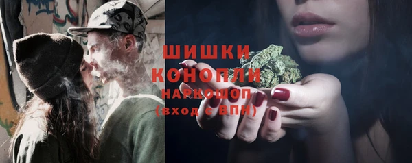 шишки Армянск