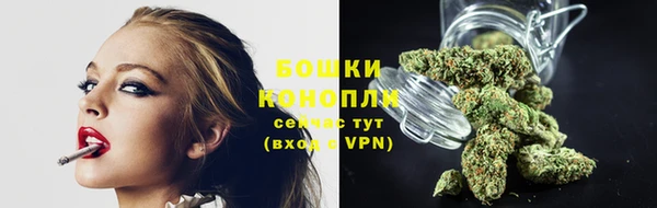 шишки Армянск