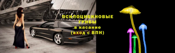 шишки Армянск