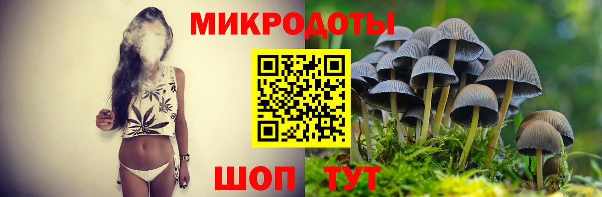Йошкар-Ола  Псилоцибиновые грибы GOLDEN TEACHER  продажа наркотиков  Вход с VPN 